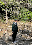 Barton Creek Greenbelt Trailhead