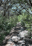 Barton Creek Greenbelt Trailhead