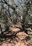 Barton Creek Greenbelt Trailhead