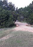 Barton Creek Greenbelt Trailhead