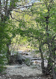 Barton Creek Greenbelt Trailhead