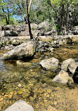 Barton Creek Greenbelt Trailhead