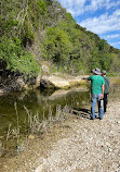 Barton Creek Greenbelt Trailhead