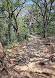 Barton Creek Greenbelt Trailhead