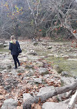 Barton Creek Greenbelt Trailhead