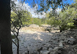 Barton Creek Greenbelt Trailhead