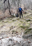 Barton Creek Greenbelt Trailhead