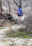 Barton Creek Greenbelt Trailhead