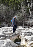 Barton Creek Greenbelt Trailhead