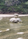 Barton Creek Greenbelt Trailhead