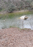 Barton Creek Greenbelt Trailhead