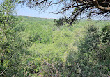 Barton Creek Greenbelt Trailhead