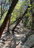 Barton Creek Greenbelt Trailhead