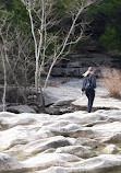 Barton Creek Greenbelt Trailhead