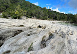 Barton Creek Greenbelt Trailhead