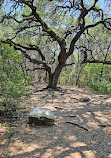 Barton Creek Greenbelt Trailhead