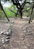 Barton Creek Greenbelt Trailhead