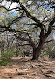 Barton Creek Greenbelt Trailhead