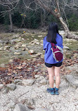 Barton Creek Greenbelt Trailhead