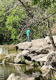 Barton Creek Greenbelt Trailhead