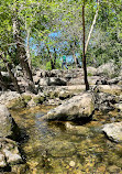 Barton Creek Greenbelt Trailhead