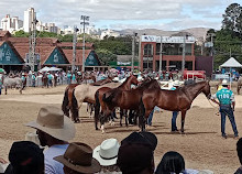 Expominas BH