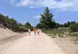 Hart-Montague Bicycle Trail Park