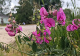 Hart-Montague Bicycle Trail Park