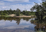 Hart-Montague Bicycle Trail Park