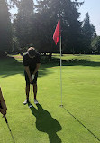 Stanley Park Pitch & Putt