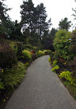 VanDusen Botanischer Garten