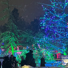 Gartencafé im VanDusen