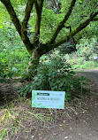 Garden Cafe at VanDusen