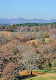 Biltmore Estate