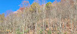 Blue Ridge Parkway Visitor Center