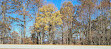 Blue Ridge Parkway Visitor Center