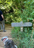 Blue Ridge Parkway Visitor Center