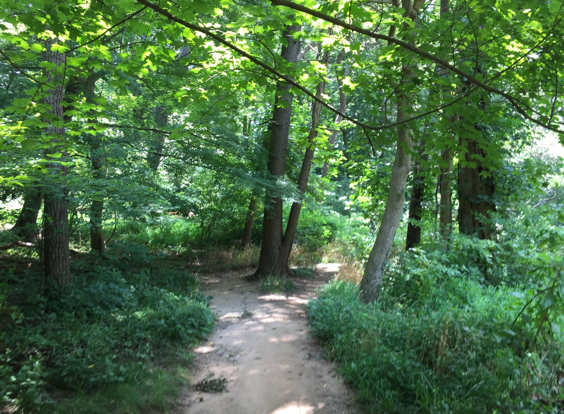 Whitehaven Trail
