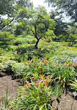 Jardín botánico de Montreal
