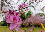 Guanhai Park