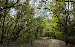 Willard Avenue Neighborhood Park