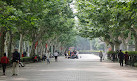 Fuxing Park