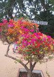 Lalbagh