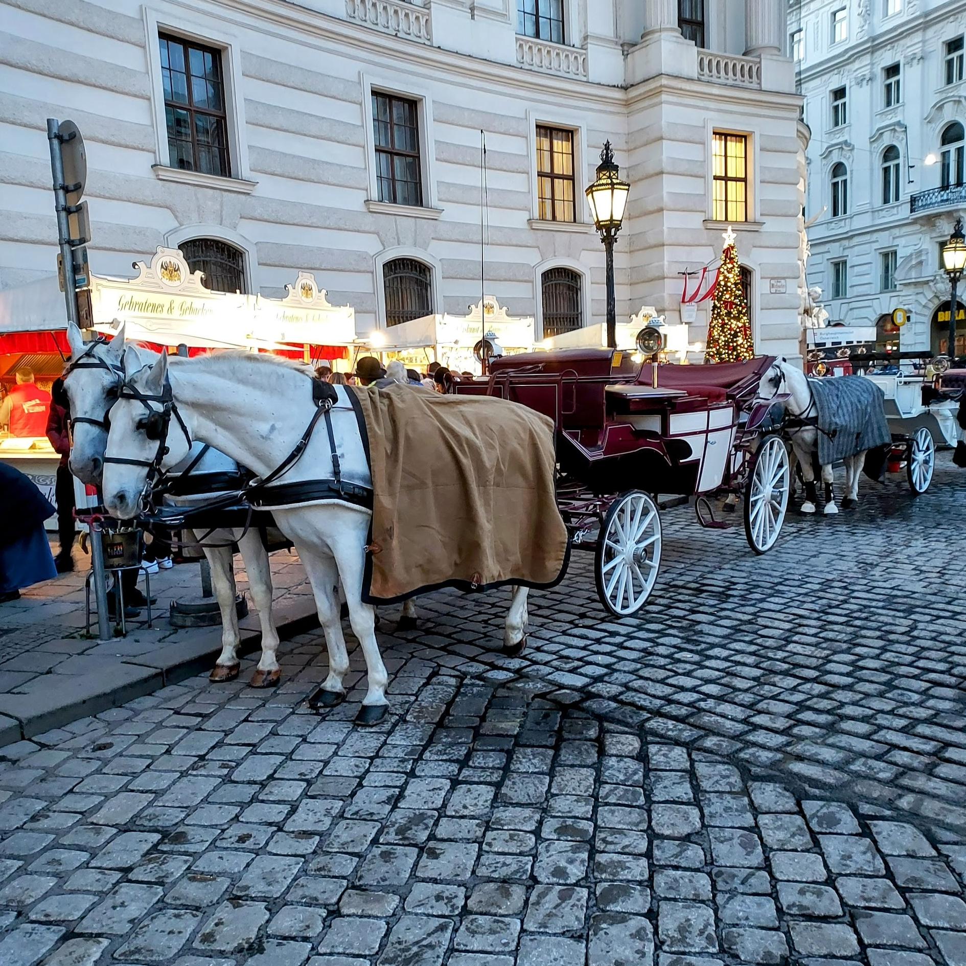 Palacio Hofburg