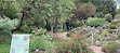 Jardín alpino en el Belvedere