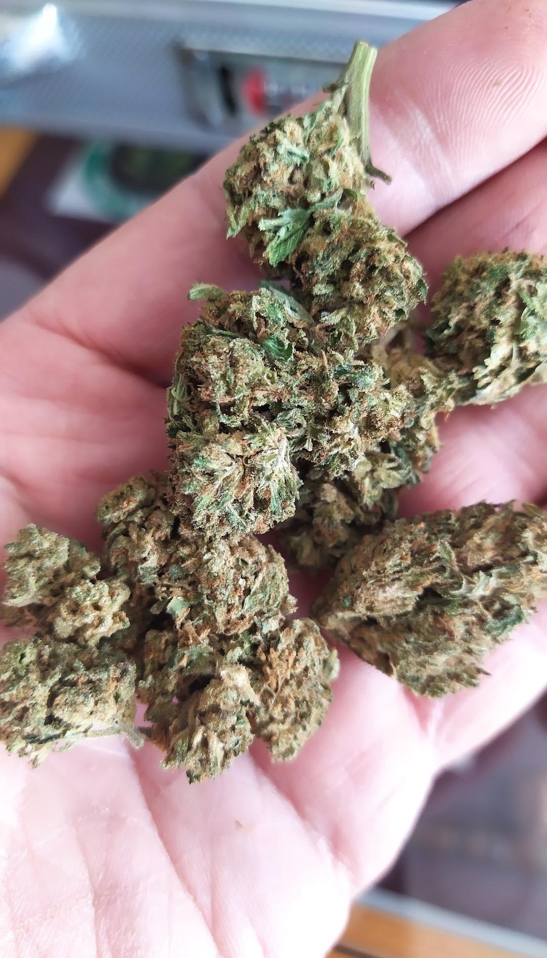 Cannabis Rhodes Hemp Weed - Smoking Point - not coffee shop 😉