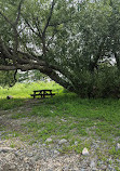 Remic Rapids Park