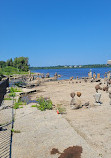 Remic Rapids Park