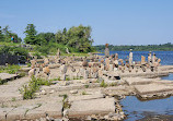 Remic Rapids Park