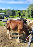 Cumberland Heritage Village Museum